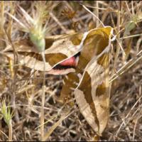 20100604-150841.jpg