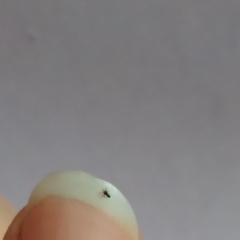 1 мм