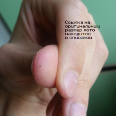 Непонятные насекомые в квартире