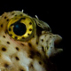 Аватар пользователя Fishka
